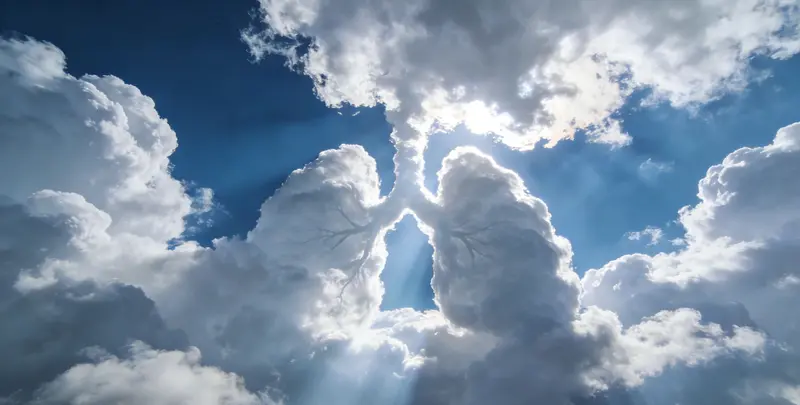 淮北肺癌11基因检测组织版图片1