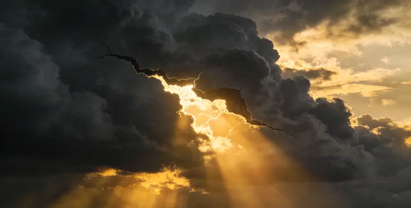 淮北肺癌靶向120基因检测（组织）图片1