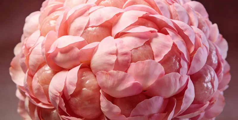 淮北BRCA1/2乳腺癌卵巢癌基因检测图片1